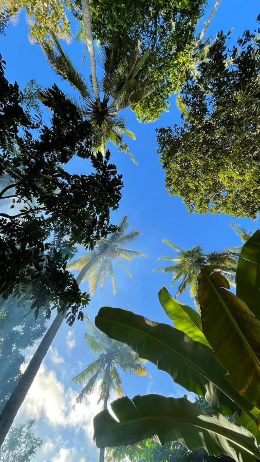 Tropical Sunday Bungalow - Surf And Stay Selong Belanak Εξωτερικό φωτογραφία